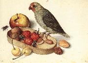 FLEGEL, Georg Still-Life with Pygmy Parrot dfg oil painting picture wholesale